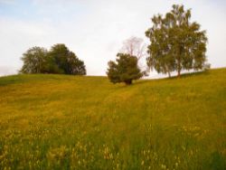 2013-06-08_Radtour_Iffeldorf-Aiderbichl (238).JPG